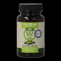 Jacob Hooy CBD Capsules 20mg 60 Capsules - thumbnail
