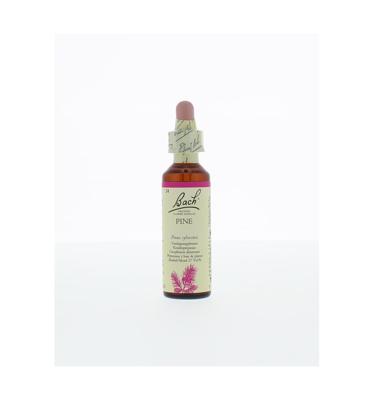 Bach Flower Remedies Den 24