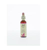 Bach Flower Remedies Den 24 - thumbnail