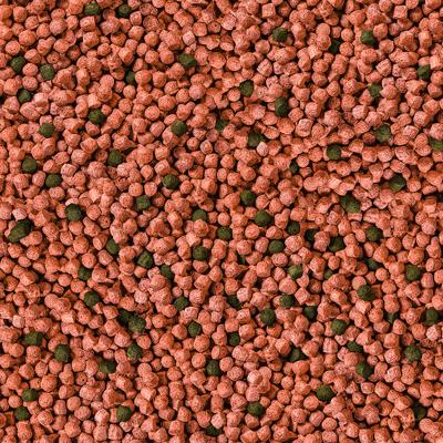 Sera Koi Professional Junior 500g - Groei & Kleurversterkend Voer voor Jonge Koi