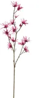 Pure Royal kunsttak hamamelis 98cm beauty - thumbnail