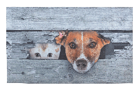 Deurmat Kiekeboe Hond en Kat - thumbnail