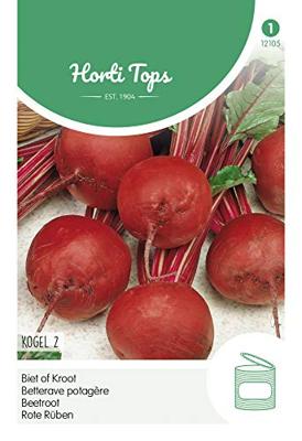 Bieten Kogel 2 - Hortitops