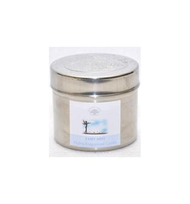 Fossiel Hout aangepolijst (Model 9)