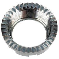 MZA Wartelmoer cap nut f.kruemmer - thumbnail