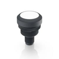 RAFI 1.10.011.001/0221 RAMO 22 T Druktoets 35 V/DC 0.1 A Moment (l x b x h) 40 x 29.8 x 29.8 mm 1 stuk(s) - thumbnail