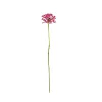 Allium Kunstbloem 61cm Cerise - thumbnail