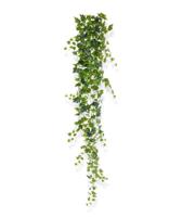 Hedera kunst hangplant 190cm - groen - thumbnail