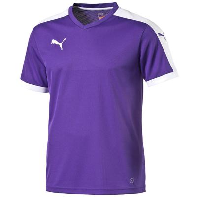 Puma Pitch Shortsleeved Shirt