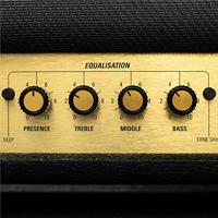 D&apos;Addario PW-LNL-01BG LokNob Large zwart met goud - thumbnail
