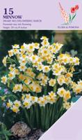 Narcis Minnow 15 bollen - thumbnail