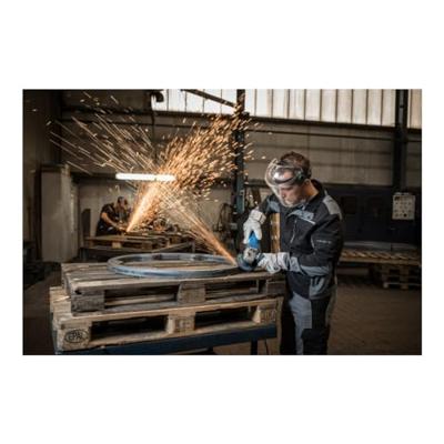 PFERD TOOLS 62011634 E 115-7 PSF STEEL Afbraamschijf gebogen Diameter 115 mm Boordiameter 22.23 mm Gietijzer, Staal, Gegoten staal 10 stuk(s) PFERD TOOLS 62011634 E 115-7 PSF STEEL Afbraamschijf gebogen Diameter 115 mm Boordiameter 22.23 mm Gietijzer, Staal, Gegoten staal 10 stuk(s)