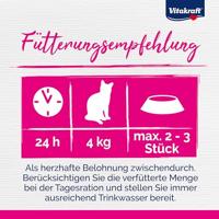 Kat Cat-Liquid snack zalm & omega 6 stuks Gebr. de Boon Vitakraft - Vitakraft - thumbnail