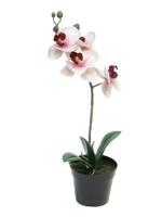 RT Phalaenopsis Bora x1 in pot 35 cm pink kunstbloemen Nova Nature - Nova nature - thumbnail
