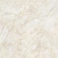 Taj Mahal Nature gepolijst 120x120 rett - thumbnail