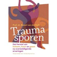 Traumasporen (Paperback) - thumbnail
