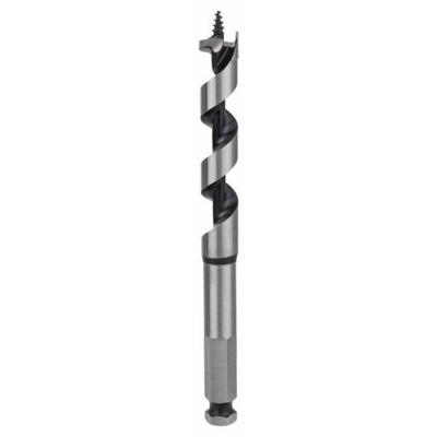 Bosch Accessoires Houtslangenboor, zeskant 15 x 100 x 160 mm, d 11,1 mm 1st - 2608585702 Bosch Accessoires Houtslangenboor, zeskant 15 x 100 x 160 mm, d 11,1 mm 1st - 2608585702