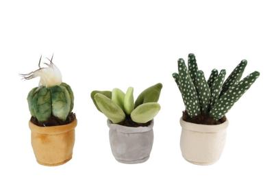 Take Me Home plant pluche S 12-17cm
