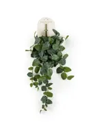 Mozaïekplant hangend l25cm groen - thumbnail