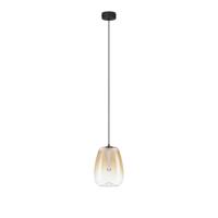 Lyora Design hanglampOblo 1-lichts amber glas - 9009173 - thumbnail