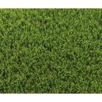 Kunstgras - EXELGREEN - 123103 - Park 40 mm - 1 x 5m - thumbnail