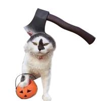 2 PC'S creatieve kat hond Halloween grappige tidy Props hoofdband Hooded hoed maat: M (bijl) - thumbnail