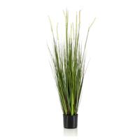 Wants&Needs Plants Kunstplant Alopecurus Grass - thumbnail