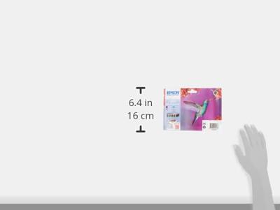 Epson Inktcartridge T0807 Origineel Combipack Zwart, Cyaan, Magenta, Geel, Foto cyaan, Foto magenta C13T08074011