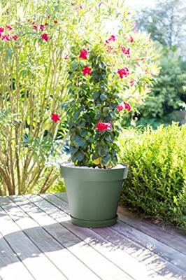 EDA PLASTIQUE - Toscane ronde bloempot - Ø 60 x H47 cm - 76 L - Lauriergroen