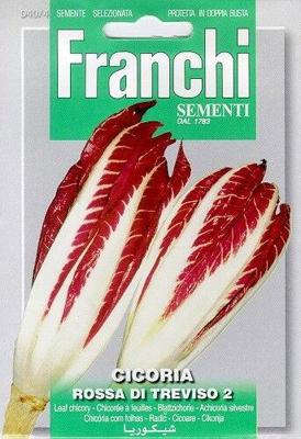 Roodlof Cicoria Rossa Di Treviso 40/4 zaden Franchi - Franchi