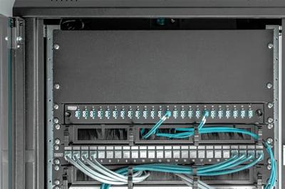 Digitus DN-19 BPN-04-SW 19 inch Afdekking voor patchkast 4 HE Zwart (RAL 9005) Digitus DN-19 BPN-04-SW 19 inch Afdekking voor patchkast 4 HE Zwart (RAL 9005)