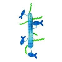 KONG KICKEROO STICKEROO MET KREUKGELUID EN CATNIP BLAUW 26X11,5X2 CM - thumbnail