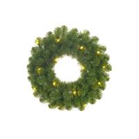 Enzo Krans LED 35cm 10lamps 60tips op batterij 5510102 - thumbnail