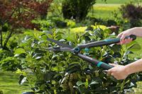 GARDENA EasyCut Heggenschaar Handmatig - thumbnail