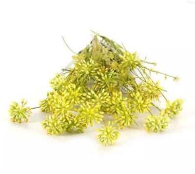 Kunst Tak Dille Geel Buitengewoon de Boet - Buitengewoon de boet