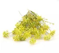 Kunst Tak Dille Geel Buitengewoon de Boet - Buitengewoon de boet - thumbnail