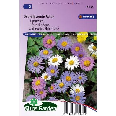 Aster Alpinus zaden Alpenaster Mix Aster Alpinus zaden Alpenaster Mix