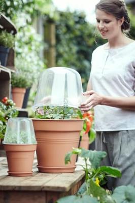Elho green basics kweekhuis rond 30 cm transparant