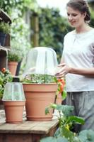 Elho Kweekhuis Green Basic Ø17cm - thumbnail