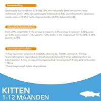 Iams Kitten kattenvoer met zeevis 2 x 10 kg - thumbnail
