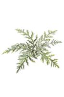 Forest fern bush x9 50 cm kunstplant Emerald - Emerald - thumbnail
