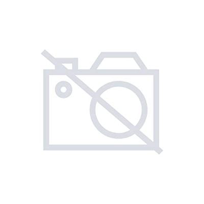 TOOLCRAFT Klemband Trekkracht (lc) vastbinden (enkel/direct)=125 daN (l x b) 2.5 m x 25 mm Klemslot