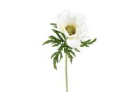 Decostar zijdebloem Anemone L 52 cm wit - thumbnail