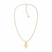 Dames ketting Tommy Hilfiger 2780862 50 cm - thumbnail