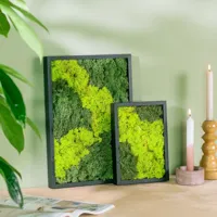 Mosschilderij Duo Rechthoek - thumbnail