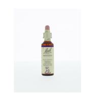 Bach Flower Remedies Reuzenbalsemien 18 - thumbnail