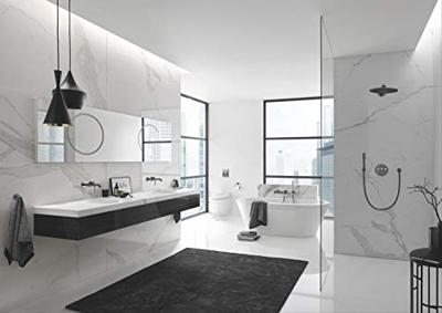 Grohe Closetborstelset Essentials New Muurbevestiging Hard Graphite Geborsteld Grohe Closetborstelset Essentials New Muurbevestiging Hard Graphite Geborsteld