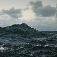 Repave - LP (0656605223810) - thumbnail