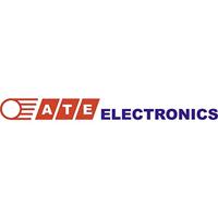 ATE Electronics RB101-100-J-1 Vermogensweerstand 100 Ω Axiaal bedraad 100 W 5 % 1 stuk(s) - thumbnail