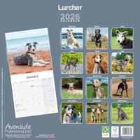 Lurcher Kalender 2026 - thumbnail